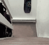 cat-gif-77.gif