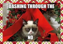 no xmas spirit cat.jpg