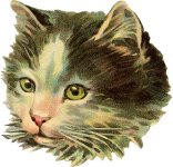 Vintage-Cat-illustration-GraphicsFairy-1024x987.jpg