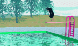 diving-penguin.gif