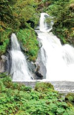 Wasserfälle-in-Triberg.jpg